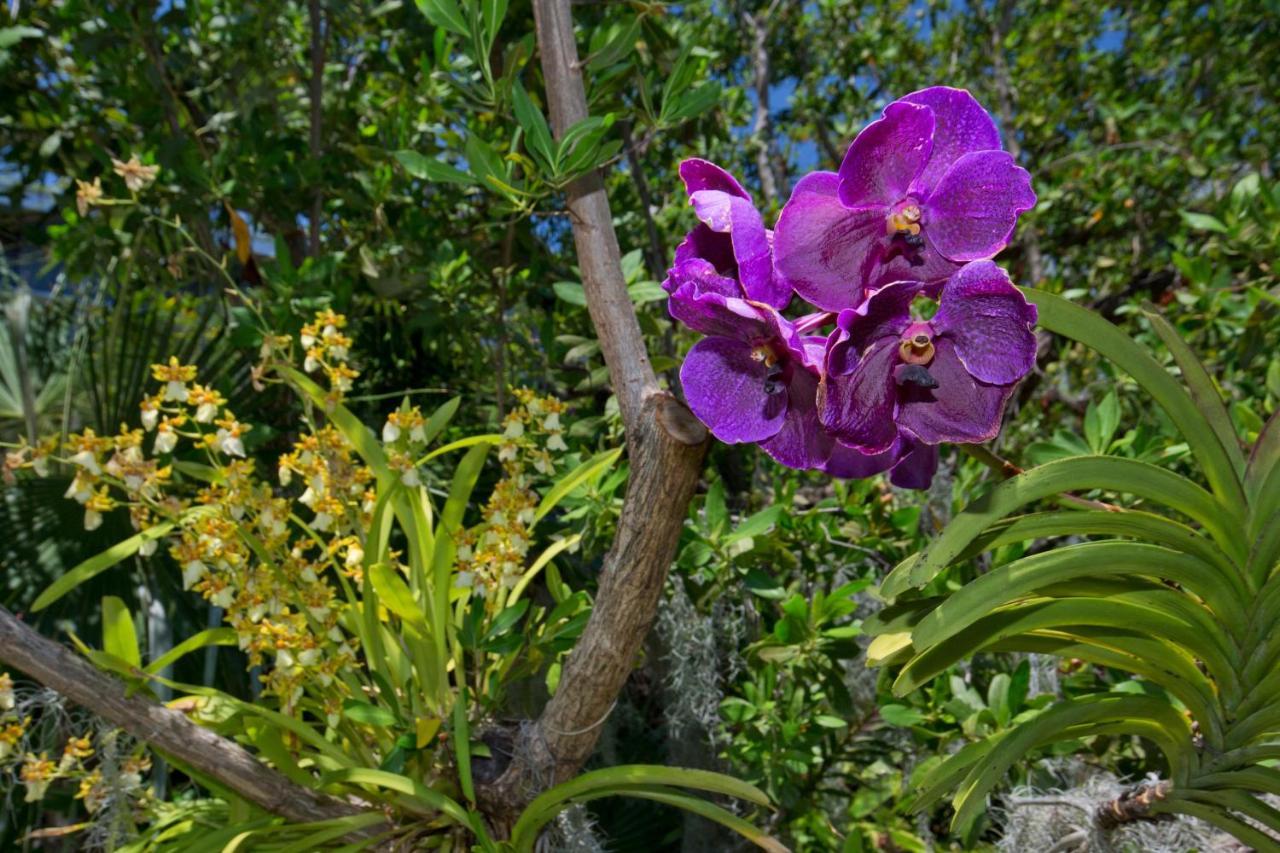 Paradise Found Cayo Hueso Exteriér fotografie